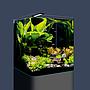 Dennerle Nano Cube Basic 60 Acquario 60Lt 38x38x43h cm