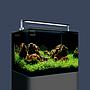 Dennerle Nano Tank Plant Pro Acquario completo 55 L