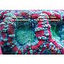 Blau Aquaristic Cubic Super Reef 122 Bianco Acquario Marino con Supporto 366 Litri