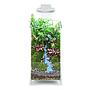 Chihiros Magnetic Light, Base, Glass Air Wabi Kusa Set