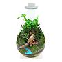 Chihiros Magnetic Light, Base, Glass pot Wabi Kusa Set