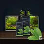 Dennerle Plant Sytem S7 Vitamine per Piante e Pesci 500ml