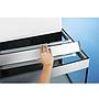 Oase Acquario HighLine 125 Optiwhite con Supporto Bianco 50x50x157h cm