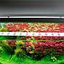 Chihiros B20 Plafoniera Led RGB con Controller per vasche 20-30cm 12,7W