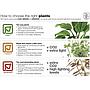 Tropica Micranthemum Umbrosum in vasetto