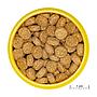 Jbl ProNovo Crabs Wafer M con Wood Fibre e Prebiotici 250ml 125gr
