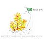 Aqua Art Ludwigia sphaerocarpa 'Pilosa' in Vitro Cup