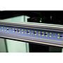 Askoll Opera 150 Acquario completo 150 litri Nero 80x40x50h cm