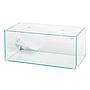 Aqpet Tortuga 60 Tartarughiera in vetro con isolotto 60X30X25h cm