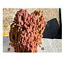 Aquadeco Jurassic Reef Rock L Box per 200-300 Litri cartone circa 25Kg