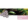Maxspect Nano Tech Bio Spheres Chitin per acqua dolce 1KG 40pz