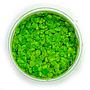 Tropica 1•2•Grow! Pianta Spirodela polyrrhiza in Vitro Cup