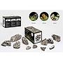 Aquadeco Mini Landschaft Seiryu Rock Set per Acquari di 80 litri circa