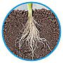 Askoll Natural Bottom Sottofondo fertile naturale per piante d’acquario 2,5 kg