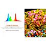 Twinstar S Line IV 300SA Lampada a Led in Titanio Aquascaping 19W 20-25cm