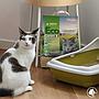 Croci Eco Clean Lettiera Vegetale per Gatti 10L