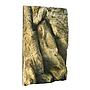 Exoterra Terrario Natural Terrarium Medium 30x30x45cm