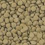 Viformo Pleco Tabs 100 ml D/F/NL/I RL