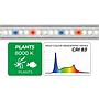 Newa Led Slim Plant 278 Lampada estensibile per acquari da 295-365mm 8000K° 3.6W