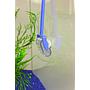 Dennerle Snail Catcher Strumento cattura lumache