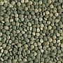Tetra Pleco Tablets Compresse Premium per pesci erbivori da fondo 120 Tabs
