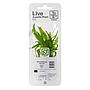 Tropica Single Package Pianta Microsorium Pteropus narrow vasetto
