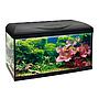 Amtra Basic 60 Acquario Led Nero 55lt 60x30x42h cm