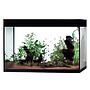 Askoll Acquario Pure LED XL HC High Cube Black 76x36x57h cm 130Lt