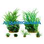 Zolux PlantKit Jalaya 1 Assortimento 6 piantine in plastica