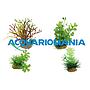 Zolux PlantKit Mix 4 Modello 2 Assortimento piantine in plastica