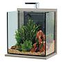 Zolux Acquario Idro 40 Zebrano Grigio 43x30x51,5cm 40 litri