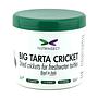 Nutrinsect Big Tarta Cricket Grilli essiccati 50gr