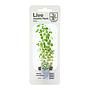 Tropica Single Package Mini Pianta Rotala rotundifolia
