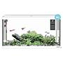 Sicce Acquario Moby Dick 60 New Bianco 58 Litri 60x30x34 cm