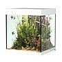 Askoll Opera 80 Acquario completo 80 litri Bianco 45x40x50h cm