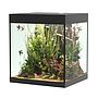 Askoll Opera 80 Acquario completo 80 litri Nero 45x40x50h cm