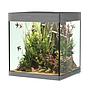 Askoll Opera 80 Acquario completo 80 litri Steel 45x40x50h cm