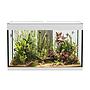 Askoll Opera 150 Acquario completo 150 litri Bianco 80x40x50h cm