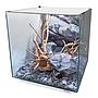 Newa Ego Full EF 30W Acquario Bianco completo 28 litri 30,4x31,2x34h cm