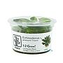 Tropica 1•2•Grow! Pianta Echinodorus grisebachii 'Tropica' in Vitro Cup