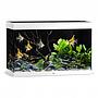 Juwel Acquario Rio 290 Litri LED Bianco 101x51x66H cm