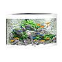 Juwel Acquario Trigon 190 Litri LED Bianco 98,5x70x60H cm