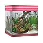 Askoll Acquario Pure LED M Ambitious Burgundy 36x36x43,5h cm 44Lt