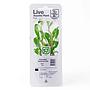 Tropica Single Package Pianta Hygrophila Siamensis 53B vasetto